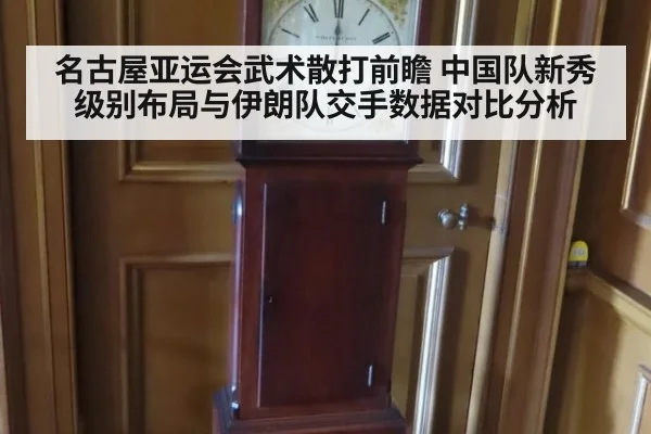 名古屋亚运会武术散打前瞻 中国队新秀级别布局与伊朗队交手数据对比分析